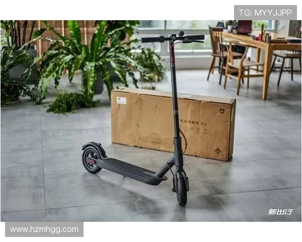 重庆滑板队实力强劲荣登全国滑板实力排行榜第二名